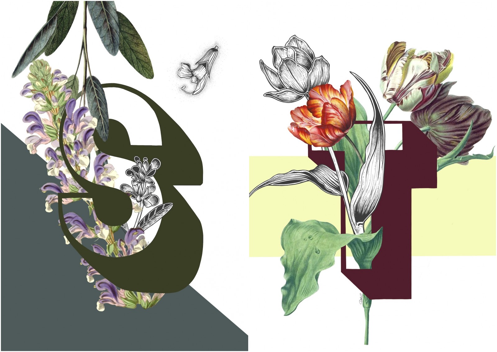 Botanical Alphabet prints by Dodo Flugge.
